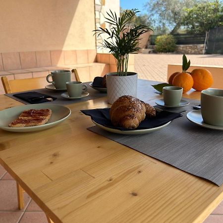 بروكولي B&B Radice المظهر الخارجي الصورة