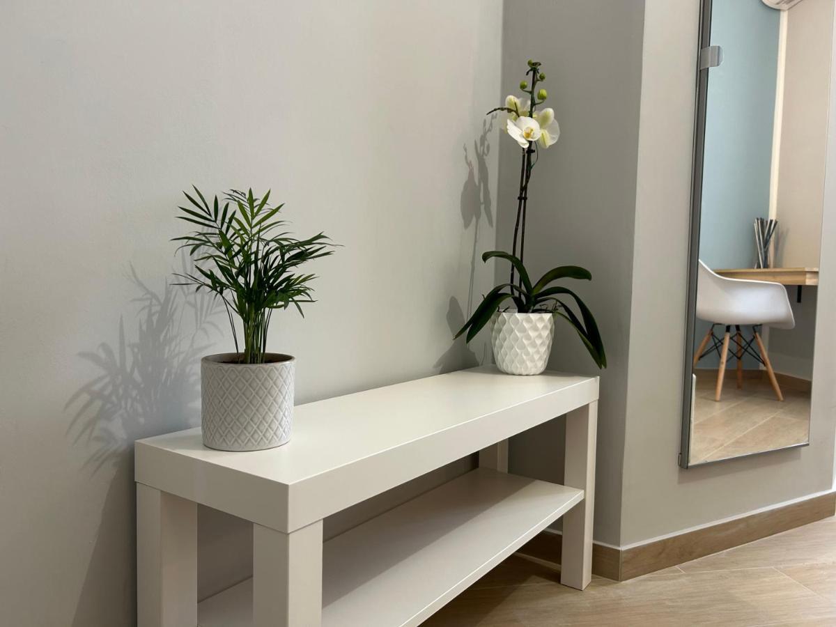 بروكولي B&B Radice المظهر الخارجي الصورة